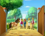 Da ist das Staunen groß: Bibi (l.), Tina (2.v.l.), Frau Martin (3.v.l.) und Holger (r.) fragen sich, wem wohl das fremde Pony gehört.