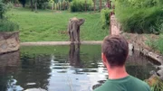 Elefantenbulle Tamo liebt das kühle Nass im Opel-Zoo Kronberg.