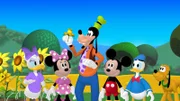 Wie gerne würde Goofy mit der hübschen Klarabella tanzen - leider kennt er aber keinen einzigen Tanzschritt (v.li.n.re.: Daisy, Minnie, Goofy, Micky, Donald, Pluto).