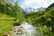 Mountain stream in the high mountains with glaciers