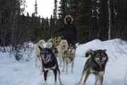 Brent Sass geht mit einem Hundegespann zum Winterschlittentraining auf den Weg. (National Geographic/Aaron Blaine)