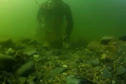 A diver at the bottom of the sea.