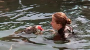 Die Seehunde im Frankfurter Zoo finden den Putztag im Becken richtig lustig.