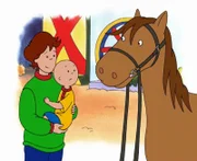 Obwohl Papi dabei ist, hat Caillou ein bißchen Angst vor dem großen Pferd.