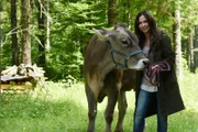 Katja Baumann (Simone Thomalla) ist froh, die Kuh wieder eingefangen zu haben, die ihr vorher entlaufen war.