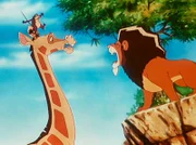 Der kleine Sascha (oben) hat's nicht leicht. Erst soll er Giraffenzähne zählen, dann muss er auch noch den grimmigen LĂ¶wen bewachen.Â