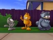 In Garfields Garten taucht plötzlich ein Kater auf, der behauptet, ein Geheimagent zu sein.