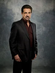(8. Staffel) - Immer im Einsatz für die Gerechtigkeit: Special Agent David Rossi (Joe Mantegna) ...