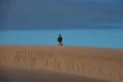 Bear Grylls kneeling on a sand dune, small in the frame.