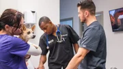 Blue and the vet techs are at the operating table.