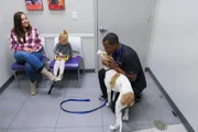Dr. Blue playing and handling Critter the Greyhound while speaking with the owner, Elise.