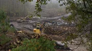 Wideshot of logging machines at work.