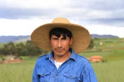Der Ursprung der Kartoffel liegt in Südamerika, wo bis heute zahlreiche Kartoffelsorten angebaut werden. Viele peruanische Familien in den Anden verdienen ihren Lebensunterhalt durch Landwirtschaft.