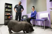 Dr. Ross and owner Jessica talking about Maltida the pig.