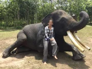 Anna besucht ein Elefantencamp auf Sumatra. Zahme Arbeitselefanten werden dort eingesetzt, um die wilden Elefanten im Nationalpark zu schützen.