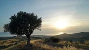 Sonnenuntergang auf der Akamas-Halbinsel, dem westlichsten Punkt Zyperns.