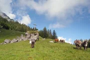 Das abgelegene Tal Hintervalorsch präsentiert eine Alpenidylle wie aus dem letzten Jahrhundert. Rinderhirt Johann Dobler kommt seit 42 Sommern auf die Alp und findet es nirgendwo schöner.