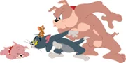 Spike, Tom und Jerry geraten immer wieder zusammen in Streit und wilde Verfolgungsjagden. Wenn es um seinen Sohn Tyke geht, passt Spike besonders gut auf.