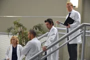 Die neue Anti-Beziehungs-Politik im Krankenhaus sorgt bei Arizona (Jessica Capshaw, l.), Owen (Kevin McKidd, r.), Derek (Patrick Dempsey, 2.v.r.) und Jackson (Jesse Williams, 2.v.l.) für Aufregung ...