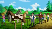 Drei der vier Paint Horses sind sicher im Gatter auf dem Mühlenhof.
