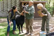 Tierärztin Dr. Mertens (Elisabeth Lanz, l.) untersucht das Alpaka. Unterstützt wird sie dabei von ihrer Assistentin Annett (Anna Bertheau, r.) und einer Mitarbeiterin des Zoos (Komparsin, M..