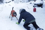 Chris Morse spielt mit seinem Hund Toz im Schnee (National Geographic/Chris Baldwin)