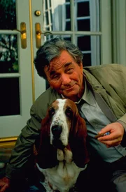 Obwohl er regelmäßig über seinen unerzogenen Hund schimpft, liebt Columbo (Peter Falk) ihn sehr.