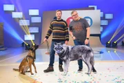 Naturführer Stephan Kaasche (l.) ist mit seinem Hund Amina bei Elton (r.) im Studio zu Gast und berichtet vom spannenden Leben der Wölfe.