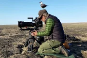 Eine Falkenraubmöwe nutzt den Kopf des Kameramannes Ivo Nörenberg als Aussichtsturm.