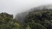 Wide shot of cloud forest landscape.