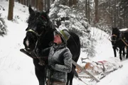 Gerti Herzog (im Bild) aus Mondsee zieht mit ihrer Norikerstute Trixi bei eisigen Temperaturen los, um dem Holzknecht Hans Lettner beim Holzziehen zu helfen