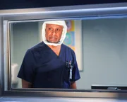 Dr. Richard Webber (James Pickens Jr.)