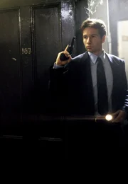 Der FBI-Agent Fox Mulder (David Duchovny) untersucht eine mysteriöse Mordserie in Baltimore.