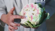 Die Amygdala, unser Gefahrendetektor, liegt im Mittelpunkt des Gehirns.