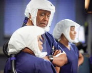 Chandra Wilson (Dr. Miranda Bailey), James Pickens Jr. (Dr. Richard Webber).