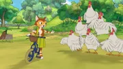 Um zu beweisen, wie gut er Fahrrad fahren kann, muss Findus eine perfekte Bremsung vor einer Hühnerpyramide hinkriegen.