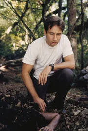 Mulder (David Duchovny) erfährt bei seinen Ermittlungen, dass es in der Gegend die Legende des "Teufels von New Jersey" gibt, der sich in den Wäldern herumtreiben soll. Aber hat dieser auch etwas mit dem neusten Fall zu tun?