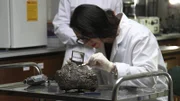 Two women in lab looking at rock sample
