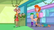 "Disneys Phineas und Ferb", "Phineas, Ferb und Sensationen / Die Spielzeugerfinder." Phineas und Ferb erfinden ein Holzspielzeug in der Form eines Schnabeltieres. Aufgrund reger Nachfrage, erweist es sich als wahrer Verkaufsschlager. Superagent Perry, das echte Schnabeltier, ist indes klarerweise beschäftigt, die skrupellosen Pläne von Dr. Doofenschmirtz zu durchkreuzen.