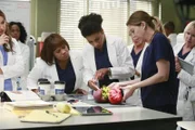 Das Ärzte um Meredith (Ellen Pompeo, vorne r.), Miranda (Chandra Wilson, vorne l.) und Maggie (Kelly McCreary, vorne M.) suchen nach einer Lösung, um eine Patientin mit einem sehr komplizierten Tumor zu retten ...