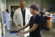 Während Meredith (Ellen Pompeo, r.) einen Babysitter sucht, trifft Richard (James Pickens Jr., l.) im Krankenhaus auf Catherine ...