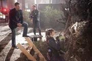 Booth (David Boreanaz, l.), Hodgins (T.J. Thyne) und Brennan (Emily Deschanel) untersuchen den Fundort einer Leiche, die bereits seit längerer Zeit unter den Wurzeln eines umgefallenen Baumstammes gelegen haben muss.