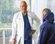James Pickens Jr. (Dr. Richard Webber), Jesse Williams (Dr. Jackson Avery).