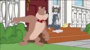 v.li.: Spike, Tom, Quacker, Jerry