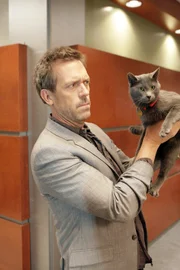 Kann eine Katze den Tod eines Menschen vorhersehen? Eine junge Frau behauptet dies und versetzt House (Hugh Laurie) damit in Rage.