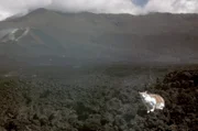 Der Film widmet sich auch der Hauskatze in einer besonders feindlichen Umgebung: der kanarischen Insel La Palma während eines Vulkanausbruchs.