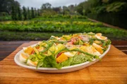 Assiette De Crudites Maman Blanc