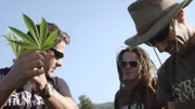 Arjan Roskam gilt als König des Cannabis.