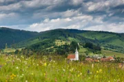 Wildblumenwiese vor einem Transsilvanischen Dorf.