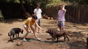The Cappuccis family plays with dogs in their backyard pre-remodel.